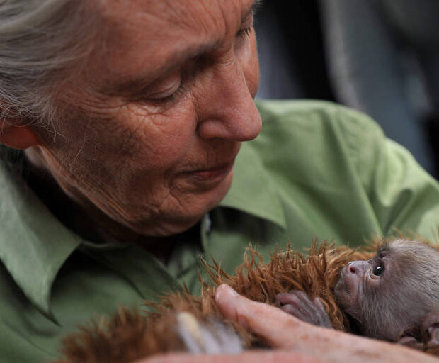 Foto: Hector Retamal/AFP