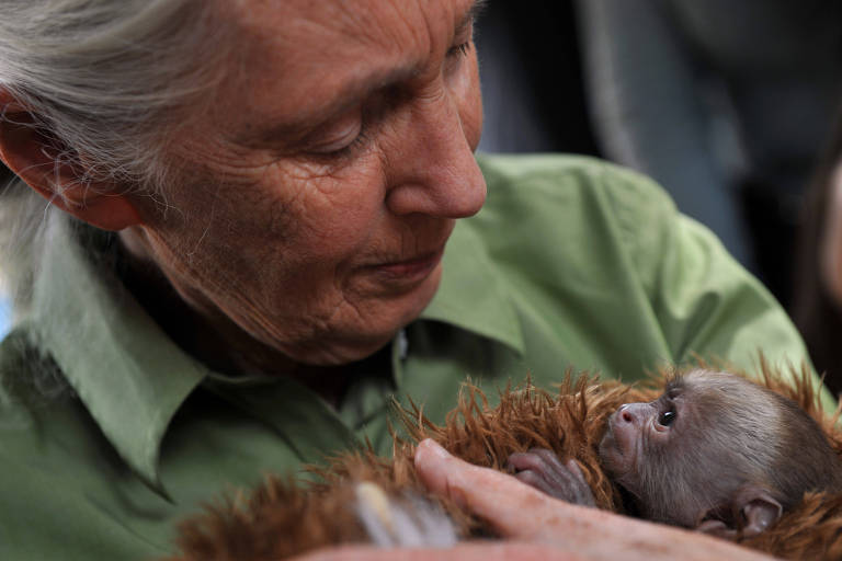 Foto: Hector Retamal/AFP