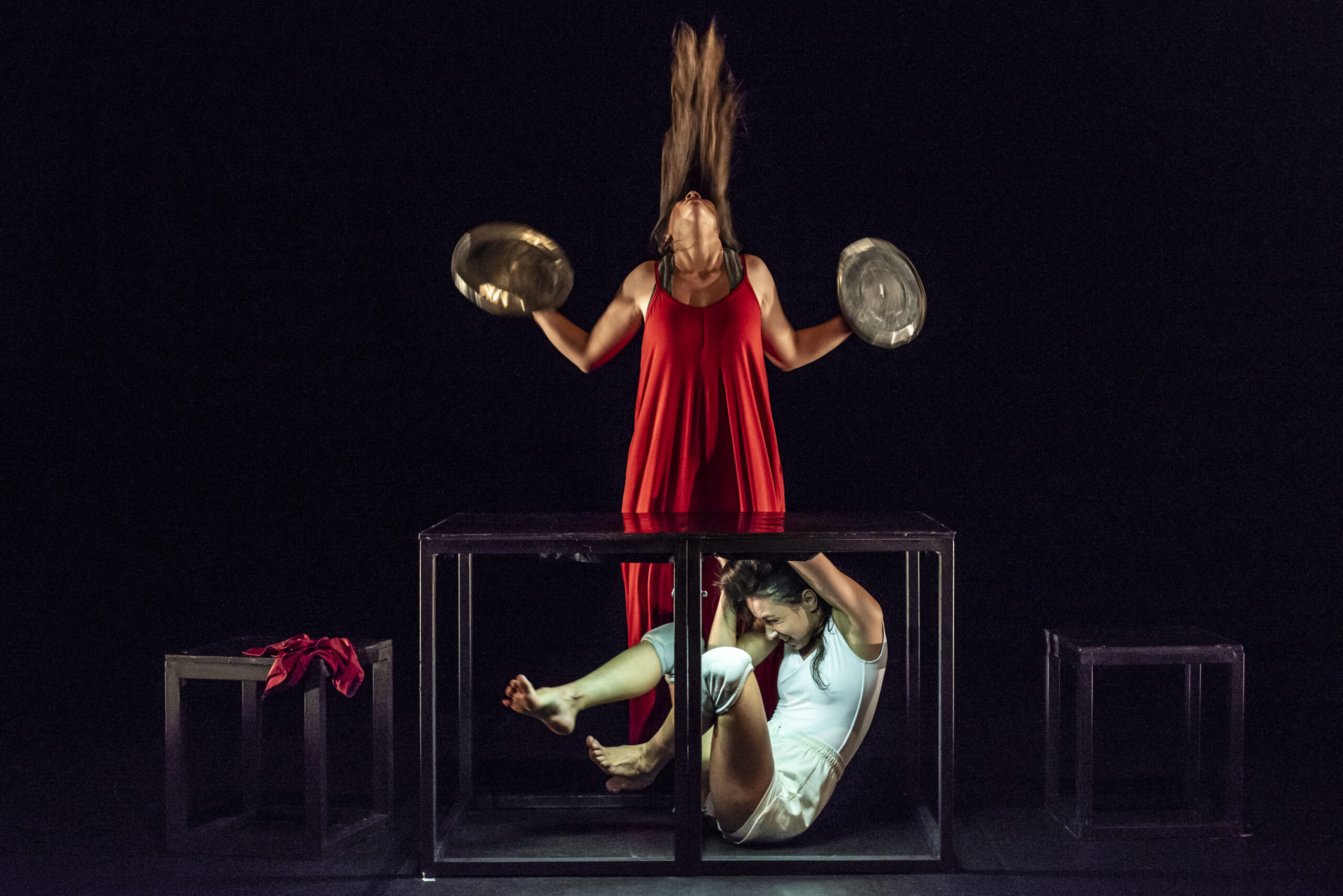 foto diego bresani (3)