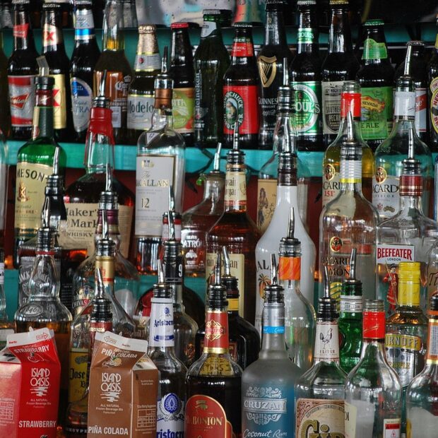 Bebidas