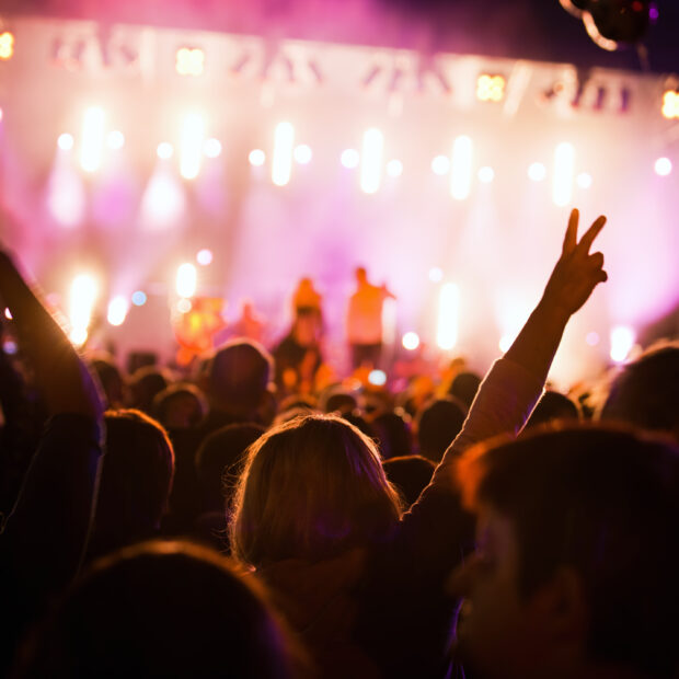people on music concert