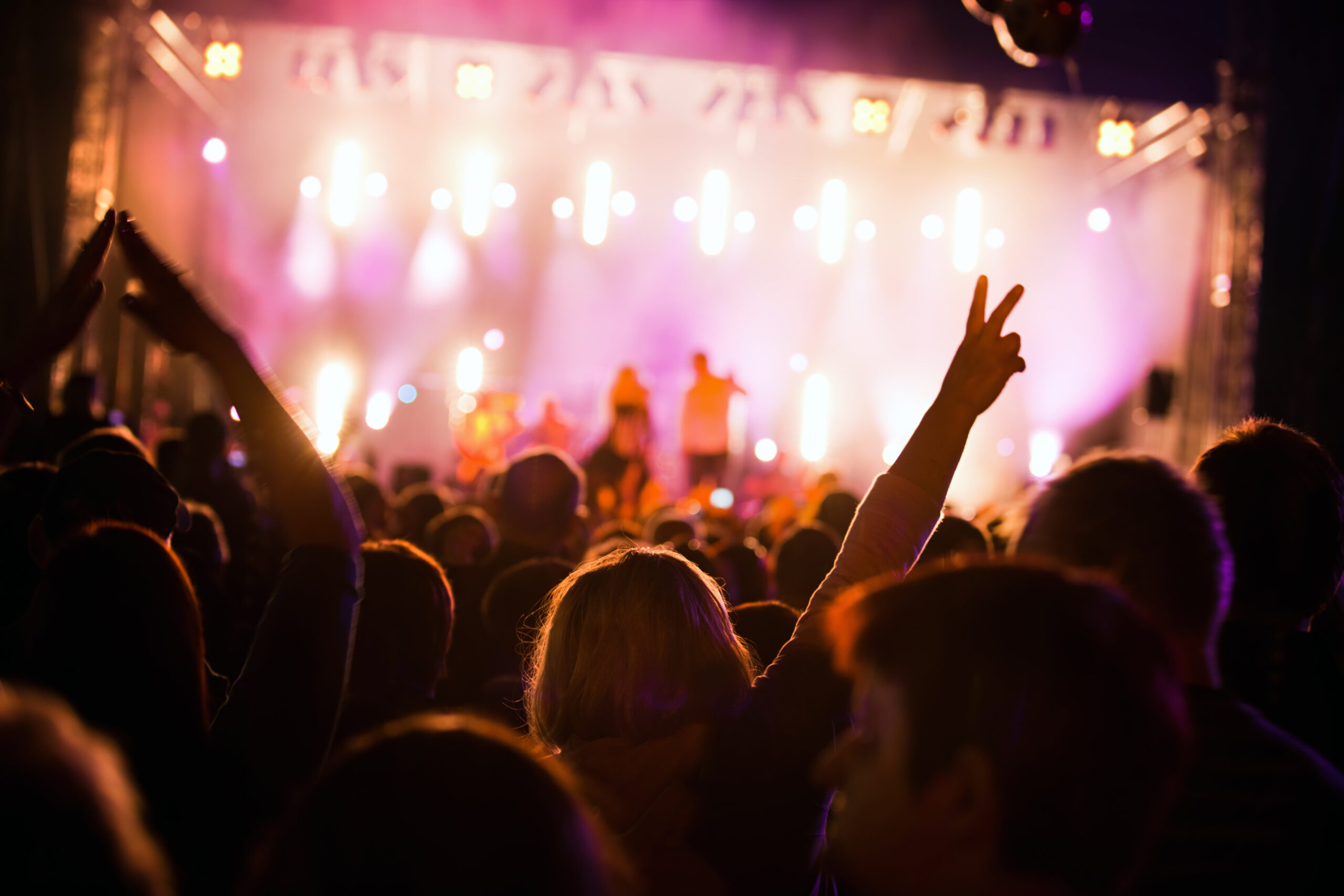 people on music concert
