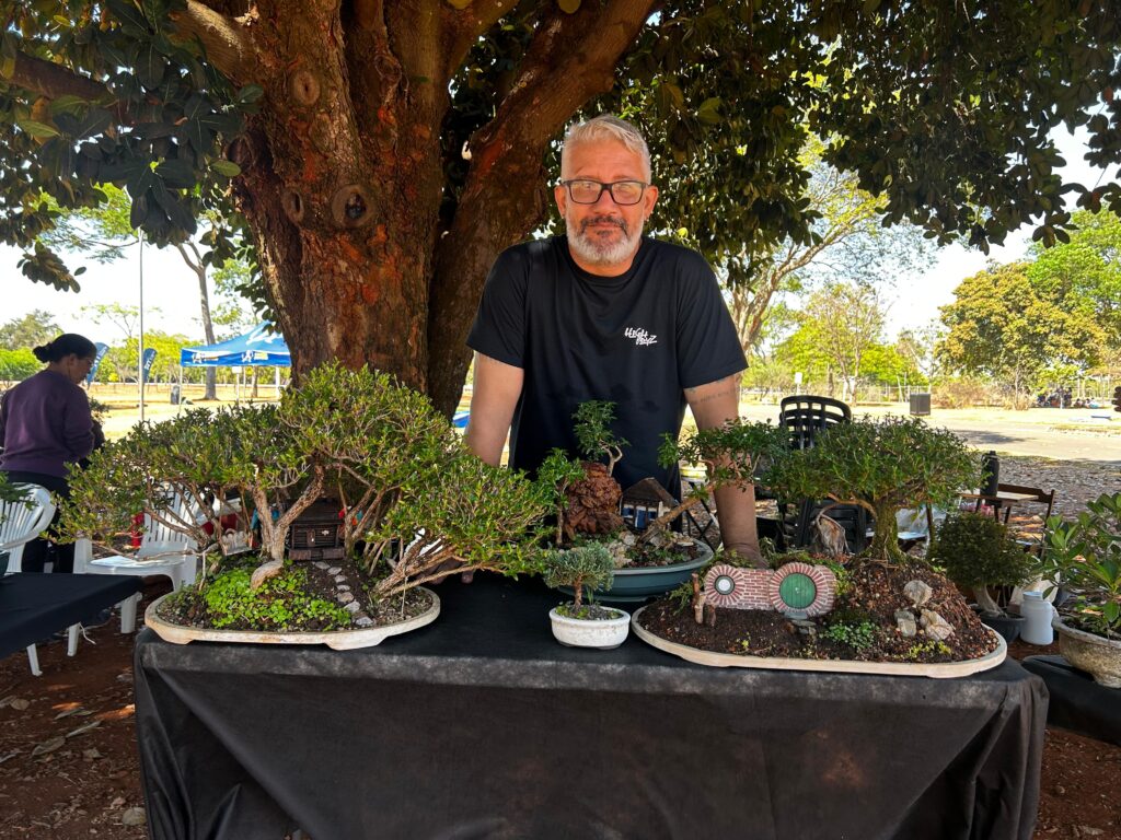 primeiro encontro da confraria bonsai de brasília leva tradição japonesa ao parque da cidade luciano maia, músico, servidor da caesb e bonsaísta créditos daniel xavier jornal de brasília