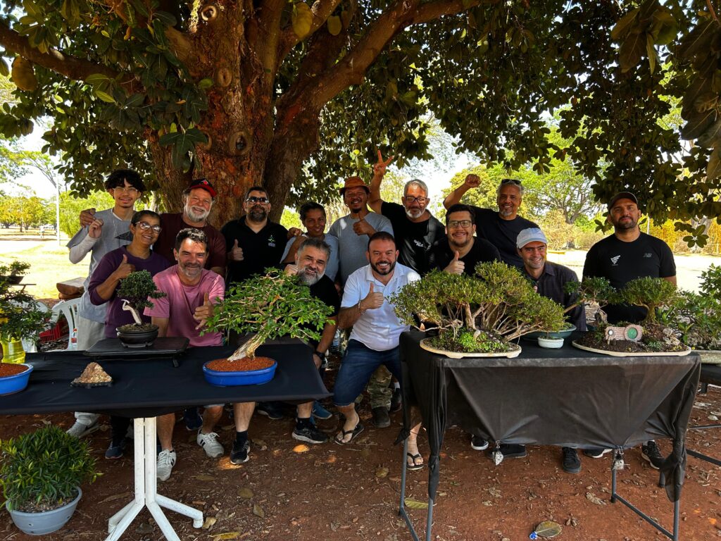 primeiro encontro da confraria bonsai de brasília leva tradição japonesa ao parque da cidade créditos daniel xavier jornal de brasília (3)