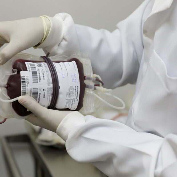 Foto: Divulgação/FHB