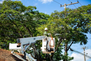 Foto: Divulgação/Neoenergia