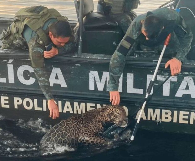 175985715668e54a04c957e 1759857156 3x2 md