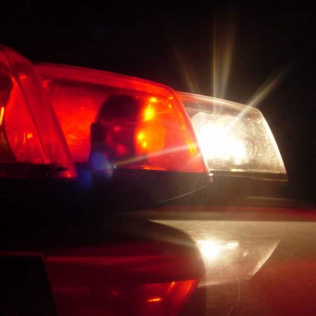 foto banco de imagens