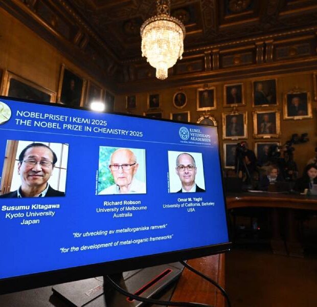 mundo nobel de química 2025
