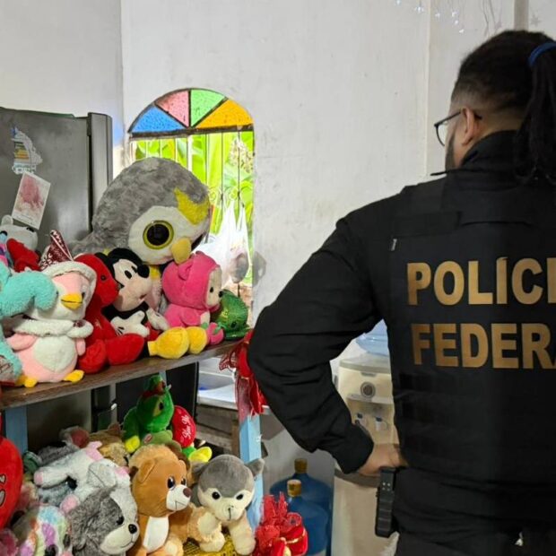 pf operação abuso infantil internet