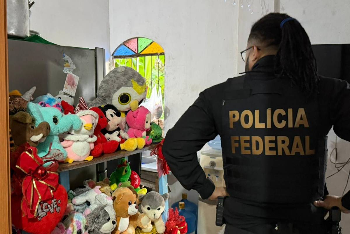 pf operação abuso infantil internet