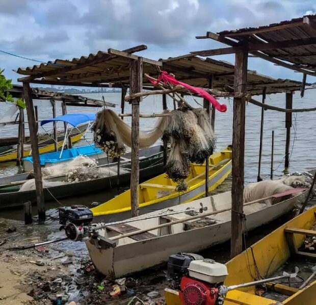 pesca