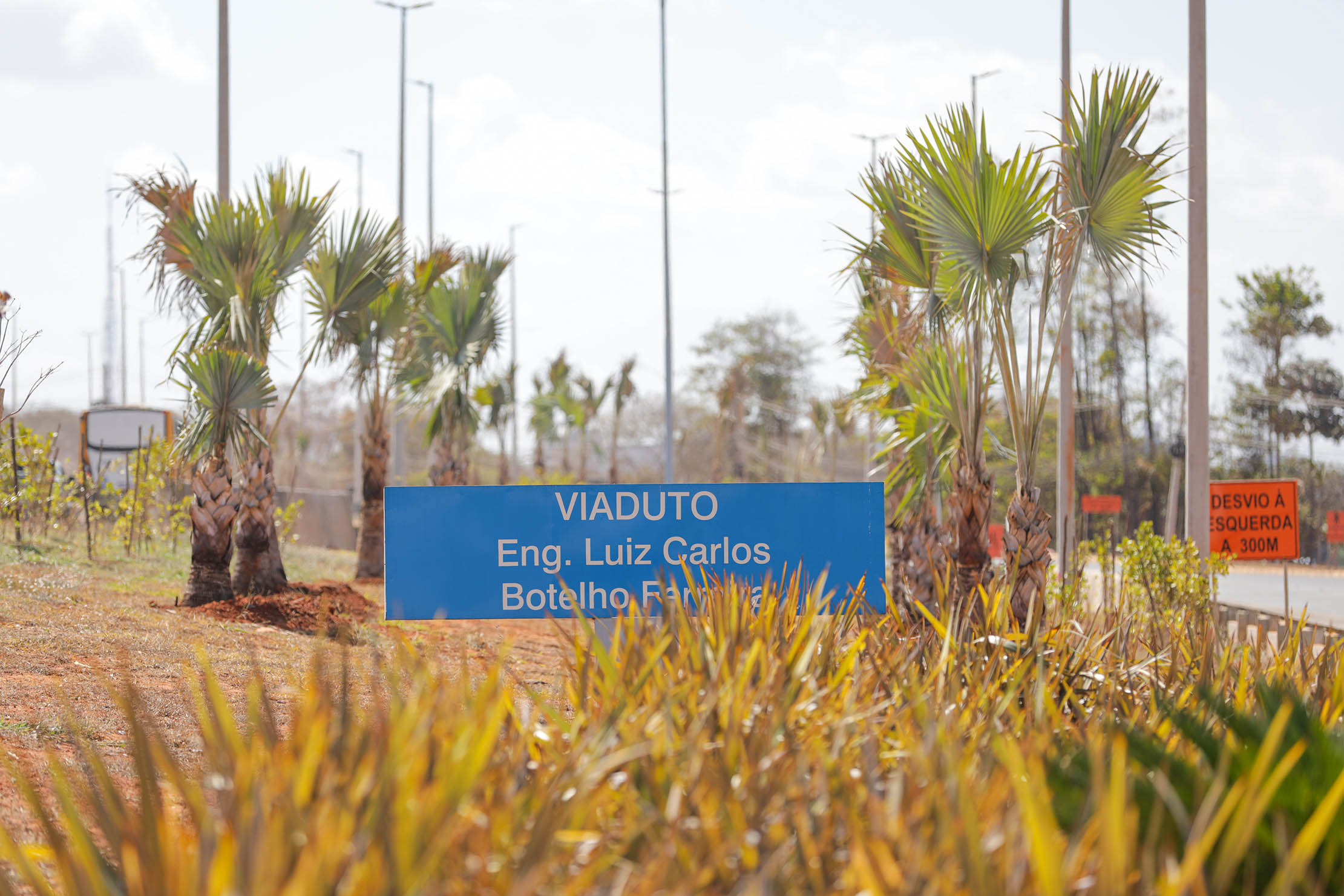 Foto: Tony Oliveira/Agência Brasília