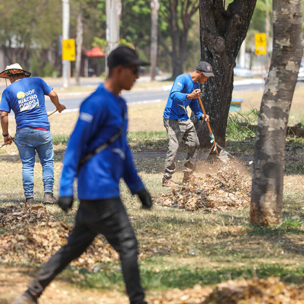 Foto: Matheus H. Souza/Agência Brasília