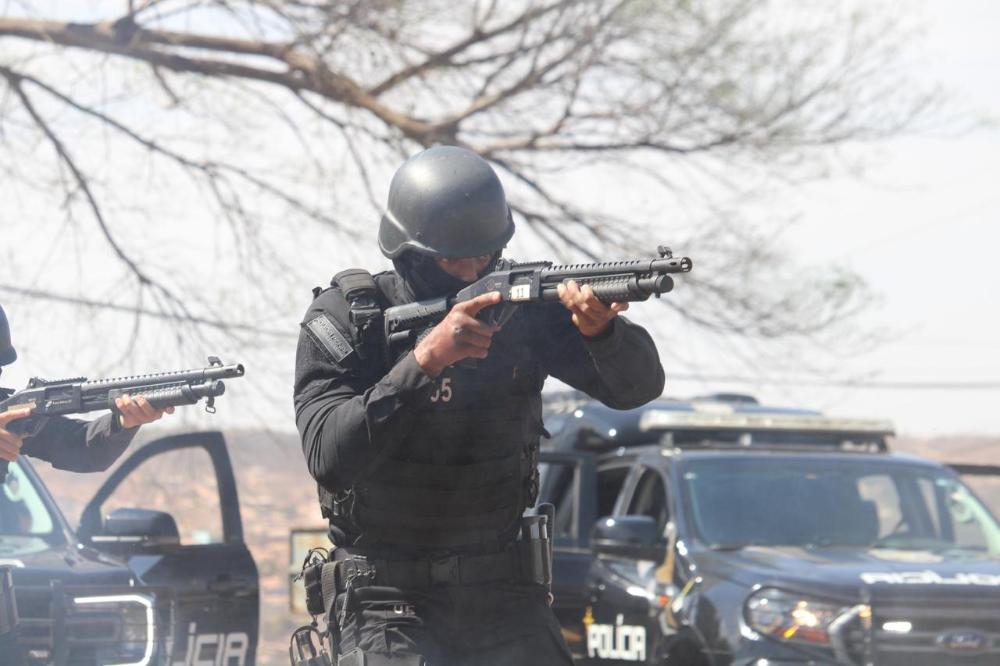 whatsapp image 2025 10 10 at 17.42.22 (1)