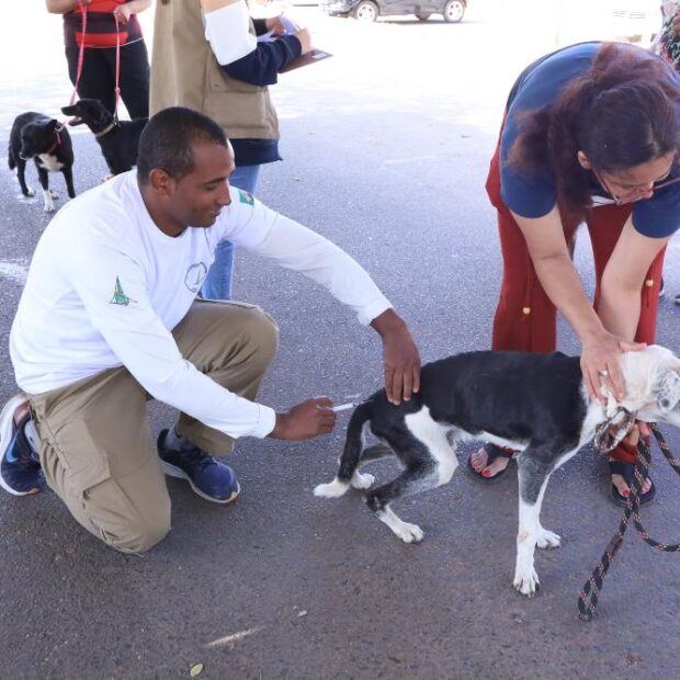 sandro araújo vacinação antirrábica