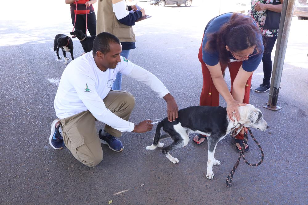 sandro araújo vacinação antirrábica