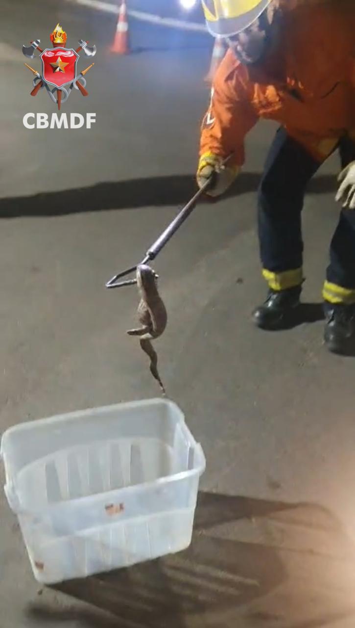 whatsapp image 2025 10 12 at 17.58.01