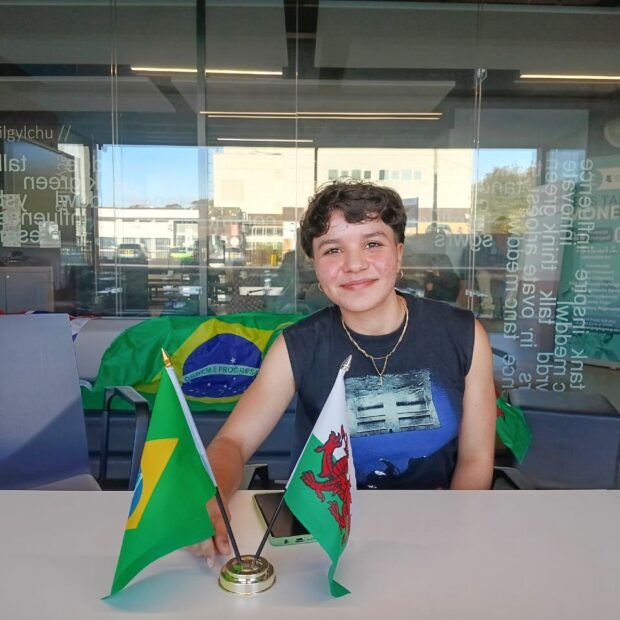 pontes para o mundo capa