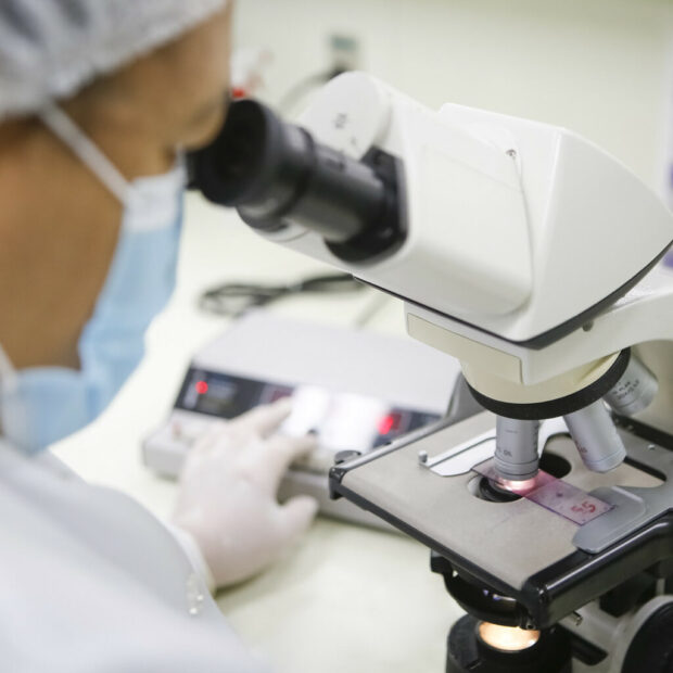 processo seletivo laboratorio medico endocrinologista