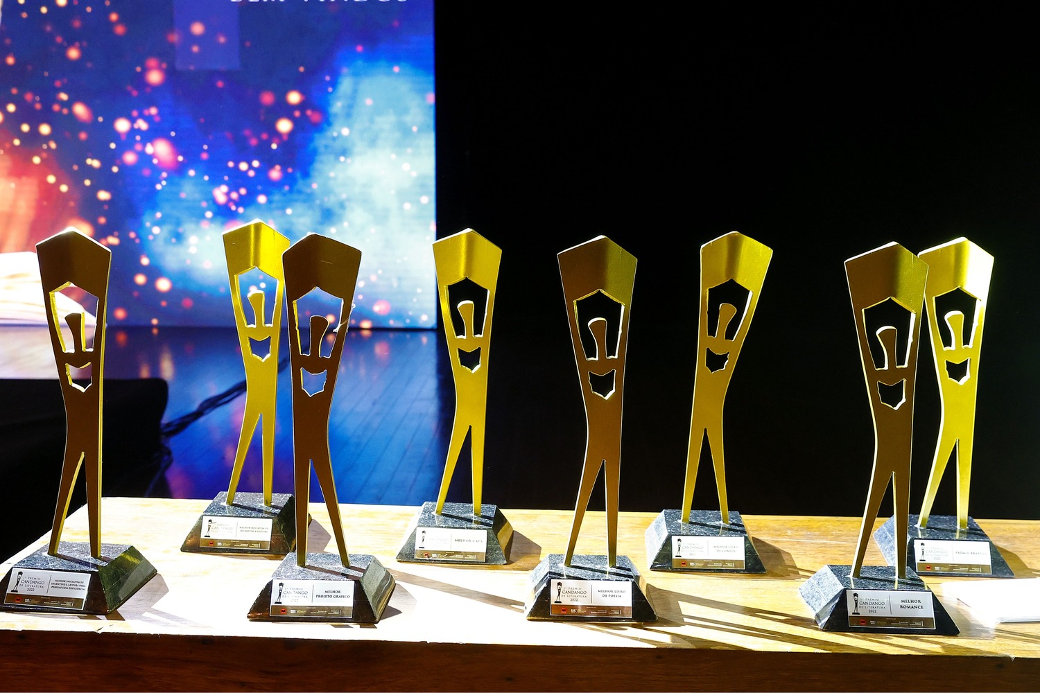 troféu1 (1) foto sececdf