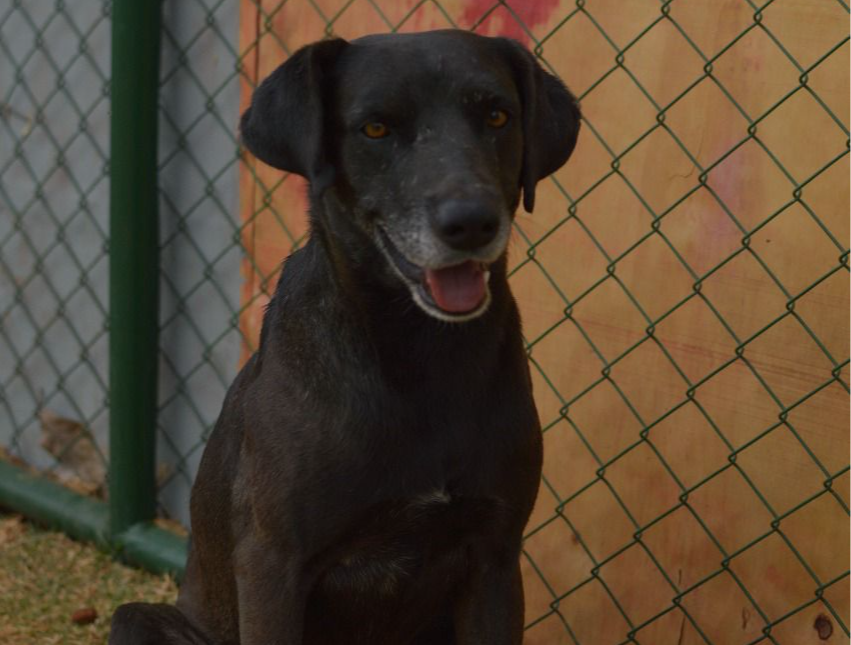 Foto: Divulgação/Sepan-DF