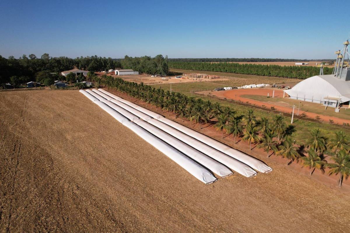 Foto: Mateus Dias/Doviçgção/Aprosoja-MT