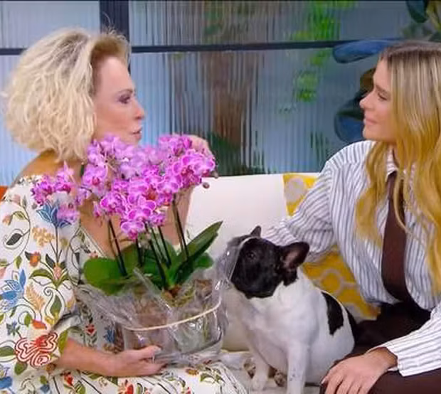 14013790 640x360 carolina