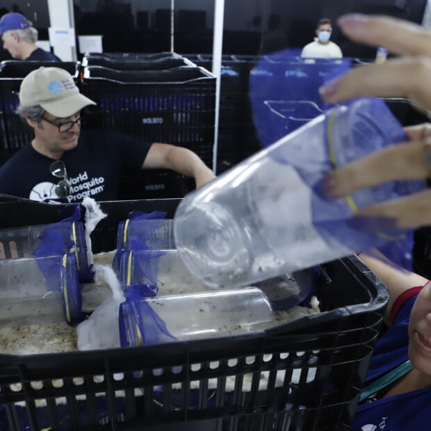 Foto: Jhonatan Cantarelle/Agência Saúde-DF