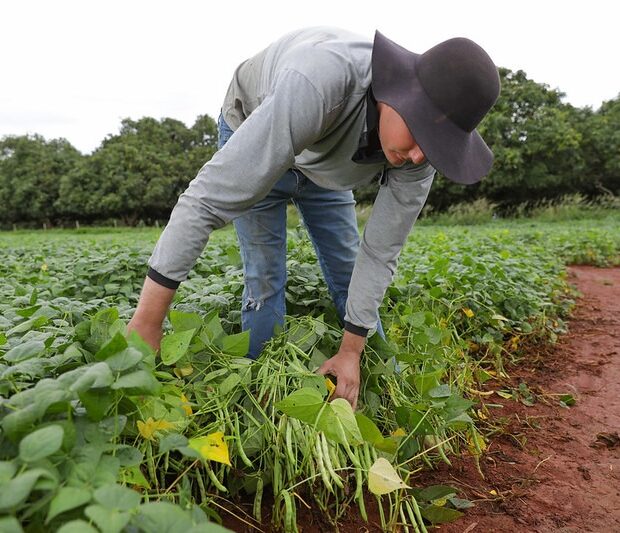 Foto: Tony Oliveira/Agência Brasília