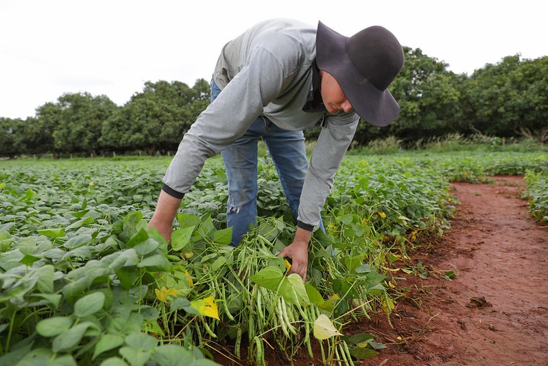 Foto: Tony Oliveira/Agência Brasília
