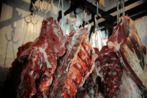 carne