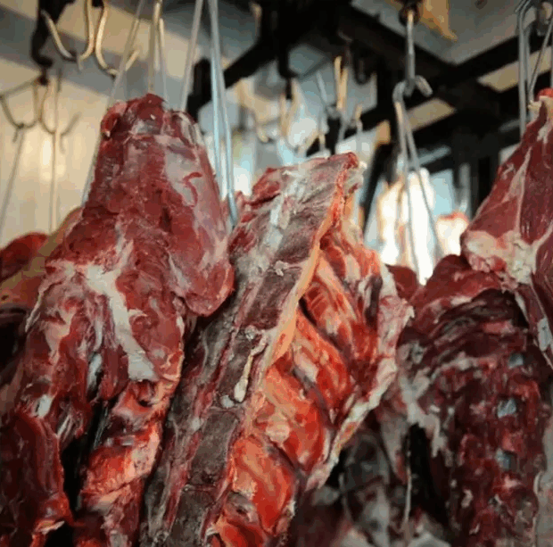 carne