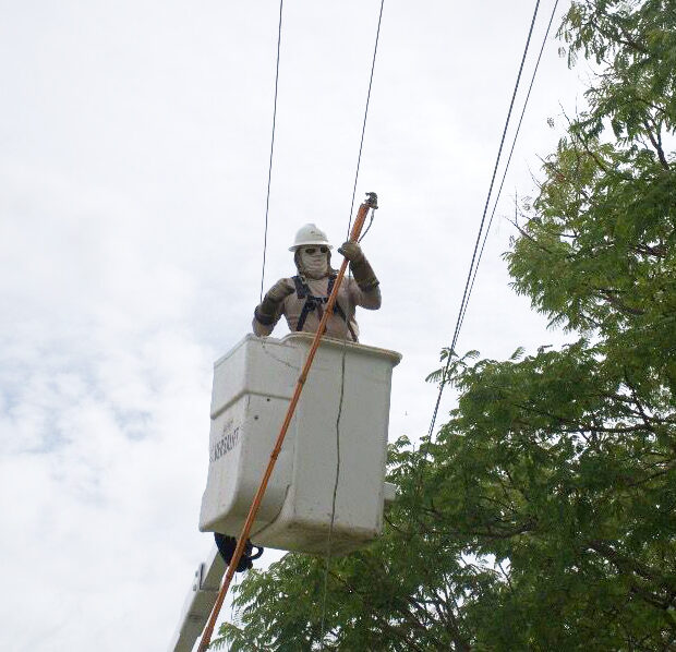 Foto: Divulgação/Neoenergia