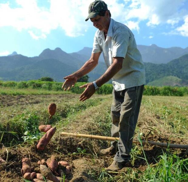 produtores rurais (1)