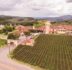 miolo vale dos vinhedos