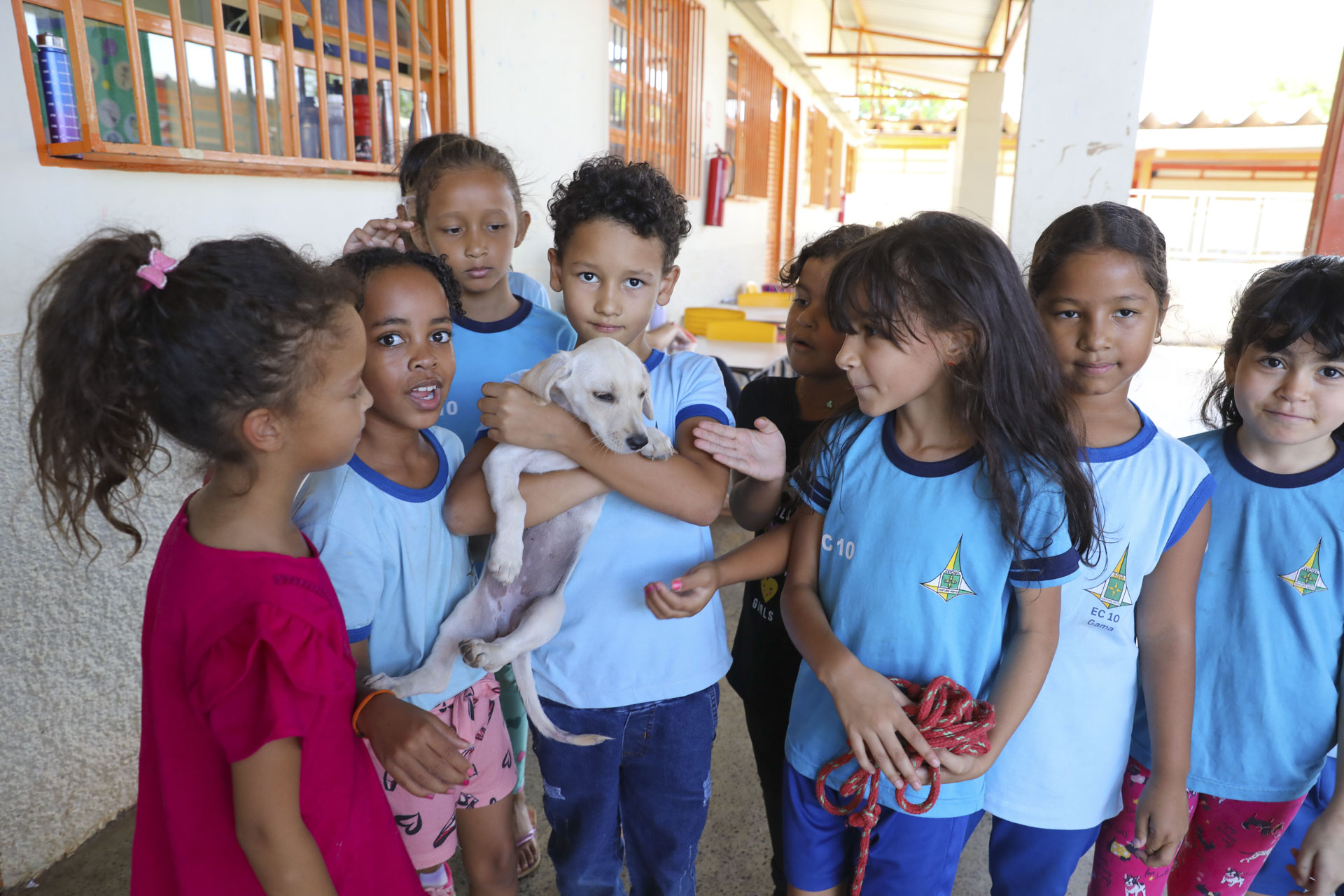 Foto: Paulo H. Carvalho/Agência Brasília
