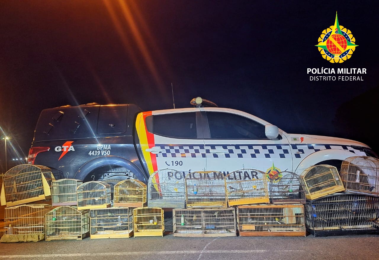 whatsapp image 2025 10 18 at 21.49.18