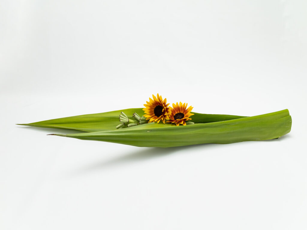 ikebana 3