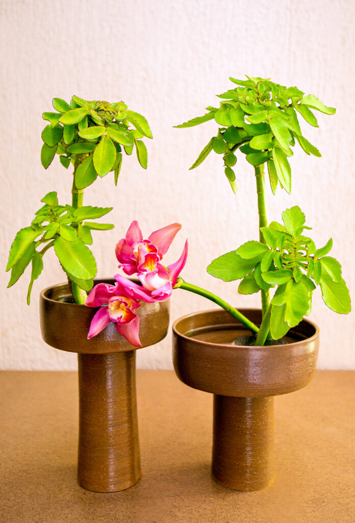 ikebana 5