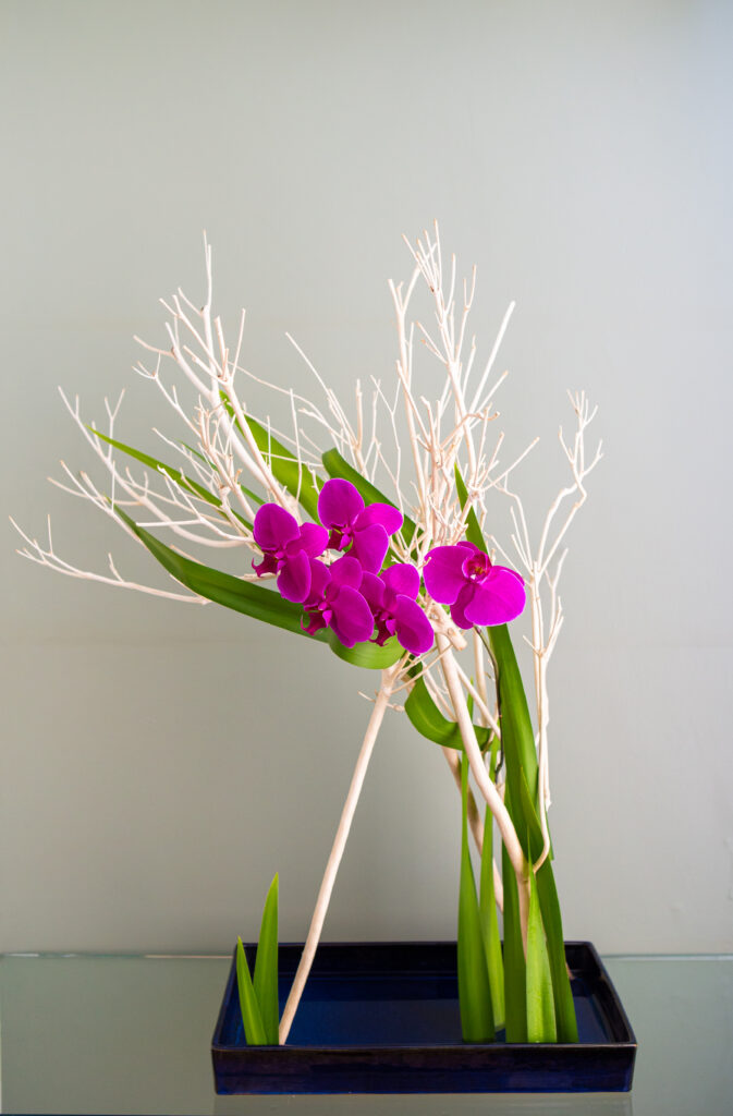 ikebana 4