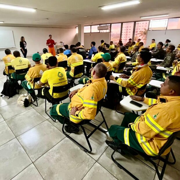 Foto: Divulgação/Sema-DF