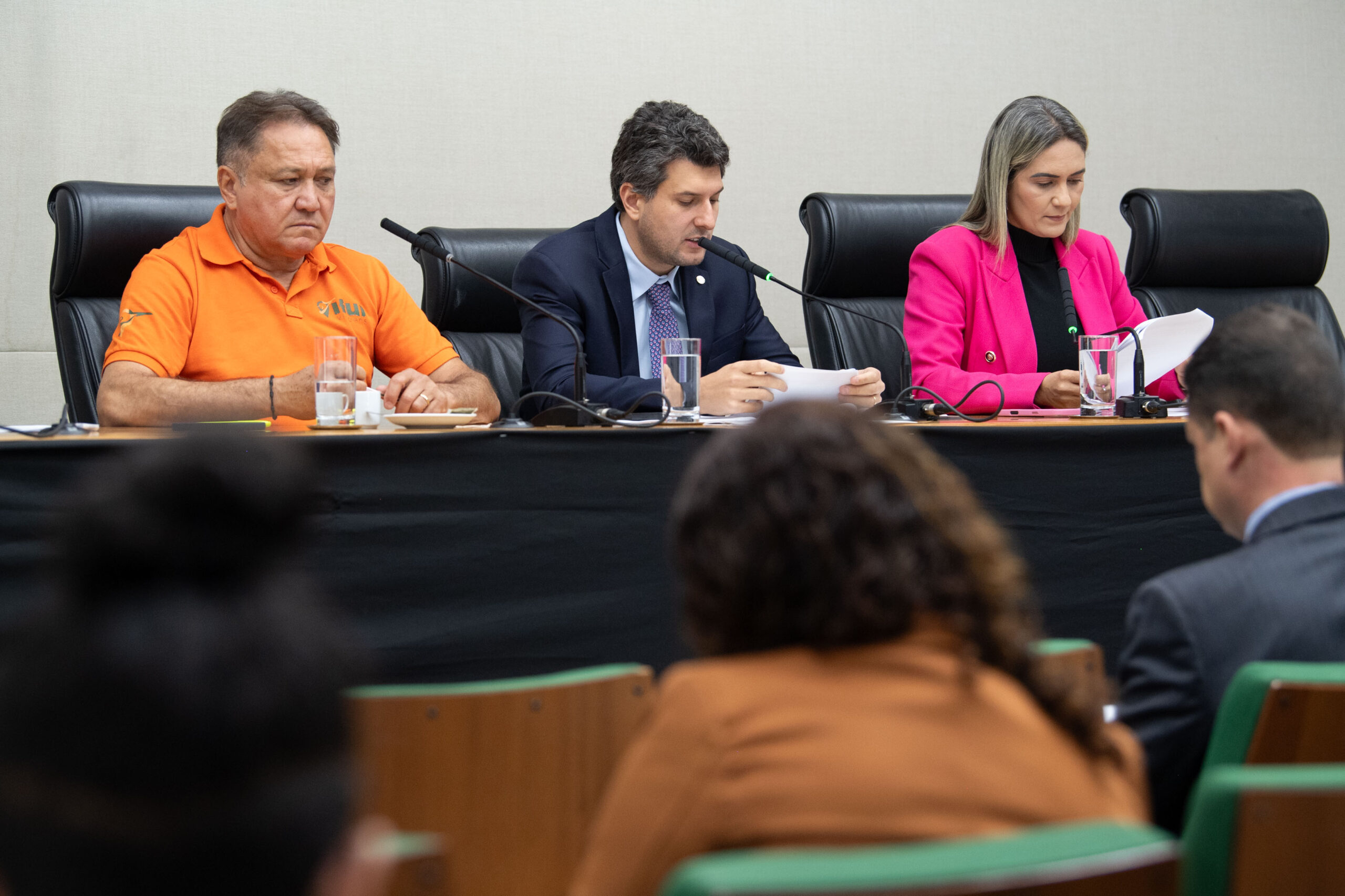 Foto: Rinaldo Morelli/CLDF