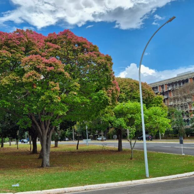 Foto: Divulgação/Novacap