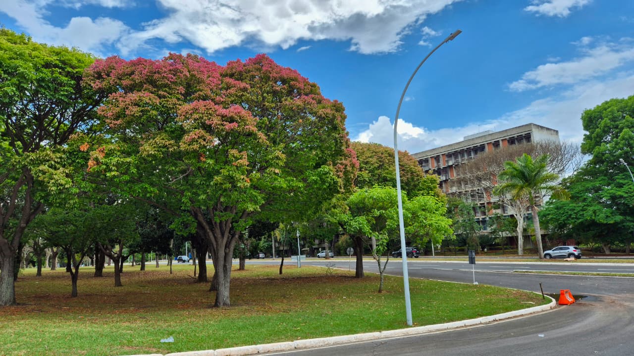Foto: Divulgação/Novacap