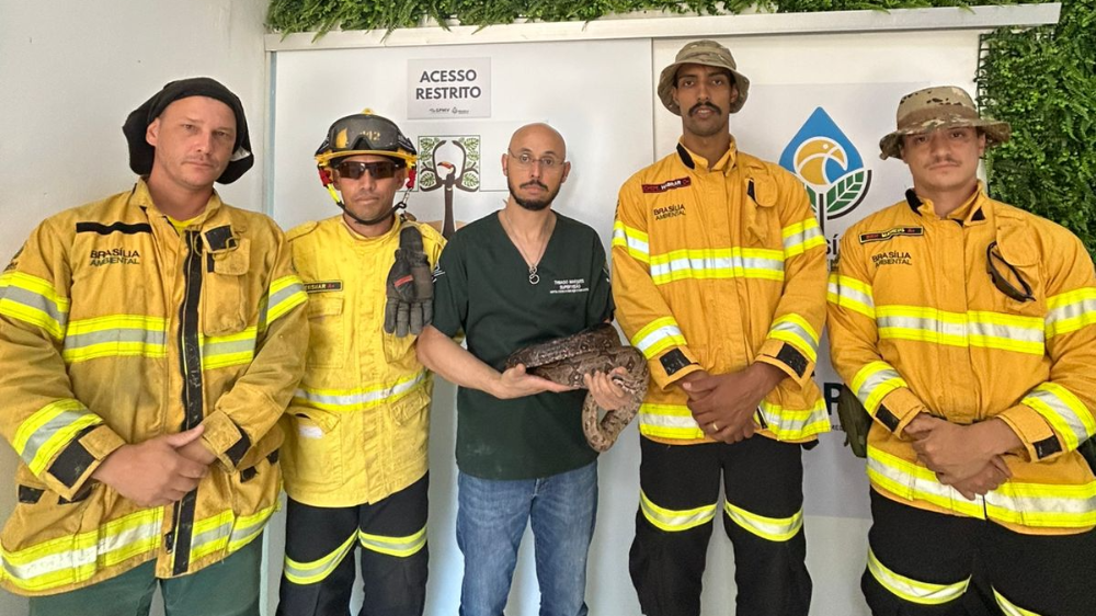 whatsapp image 2025 10 22 at 15.49.11 (3) (1)