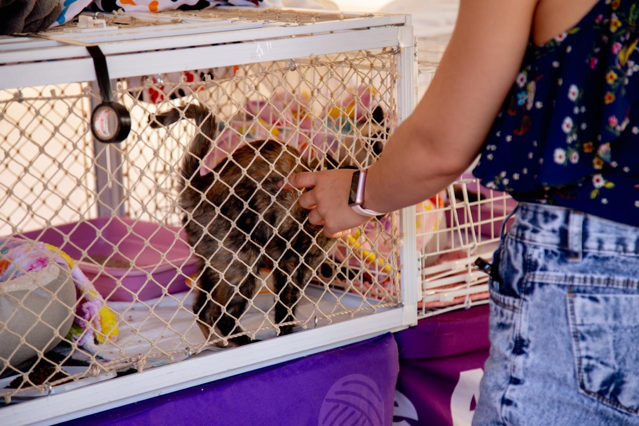 Foto: Divulgação/Seec-DF