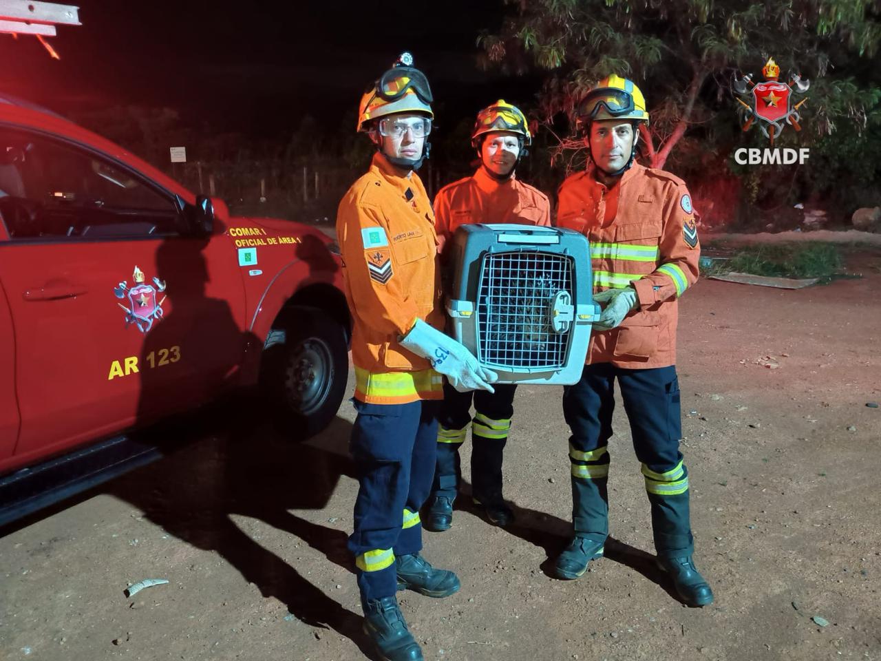 whatsapp image 2025 10 24 at 22.18.47