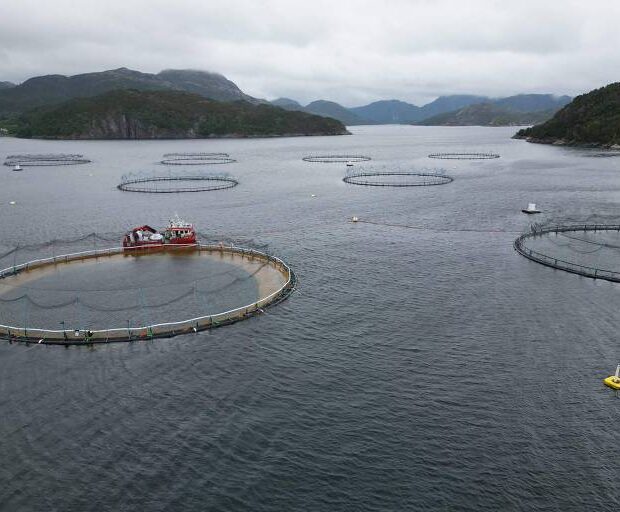 Foto: Jonathan Klein/AFP