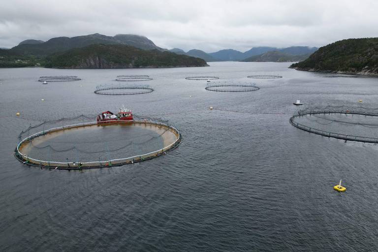 Foto: Jonathan Klein/AFP